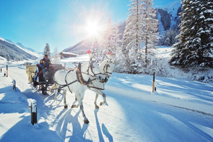 Hotel Alpenhof, Winterzeit, Kutsche